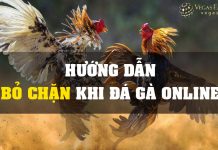 Hướng dẫn thay đổi VPN để vào chơi đá gà cựa sắt